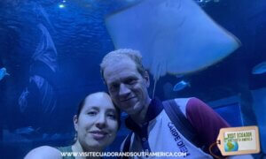 AquaRio marine aquarium experience in Rio de Janeiro (3)