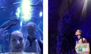 AquaRio marine aquarium experience in Rio de Janeiro (3)