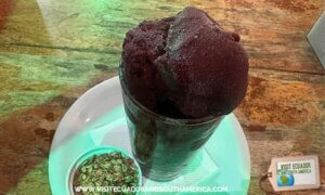 Brazilian açaí in Rio de Janeiro