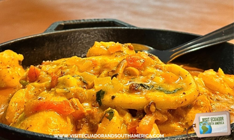 Why You Must Taste Moqueca in Rio Brazil’s Best Seafood Stew (2)