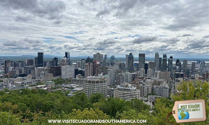 Top Things to Do in Montreal in 5 Days Maple Syrup, Mont Royal & Cultural Delights (2)