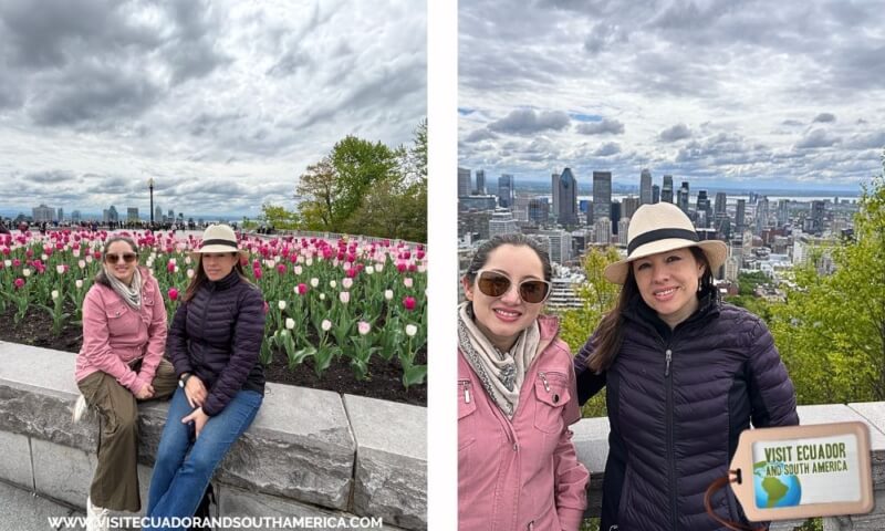 Top Things to Do in Montreal in 5 Days Maple Syrup, Mont Royal & Cultural Delights (2)
