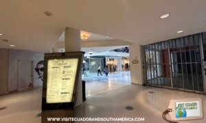 things to do in Montreal