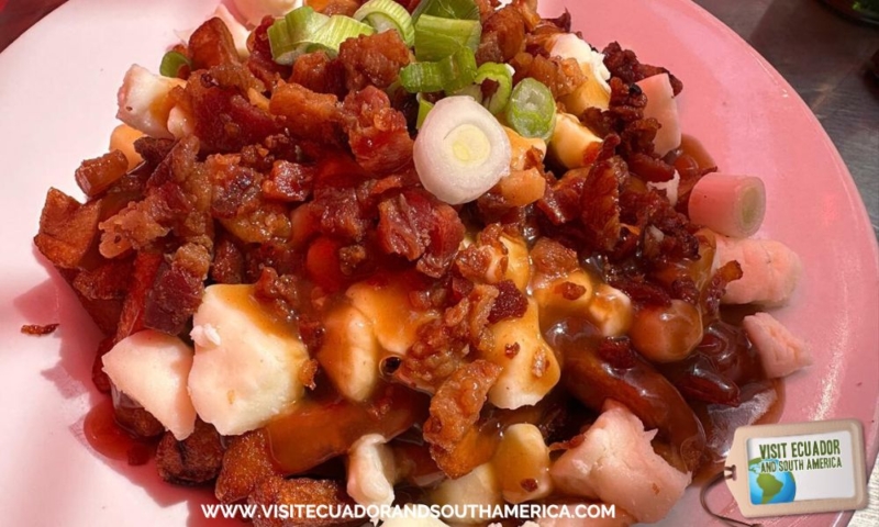 Must-Try Canadian Foods in Quebec Maple Syrup and Poutine Adventures