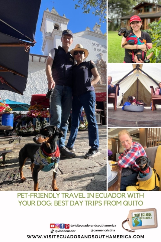 pet friendly travel Ecuador with dog (1)