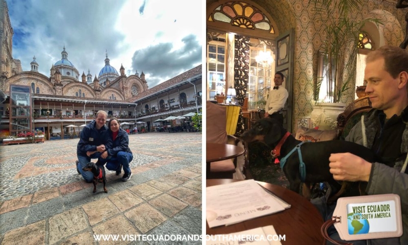 pet friendly travel Ecuador with dog