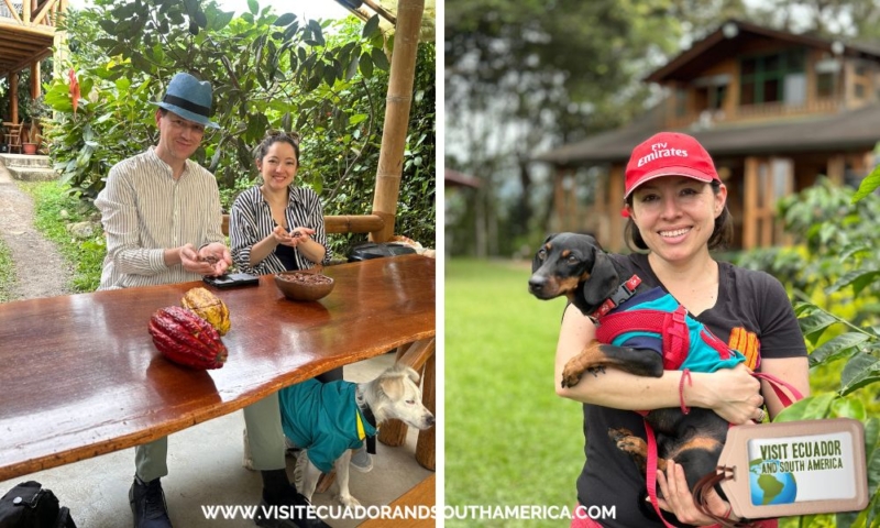 pet friendly travel Ecuador with dog