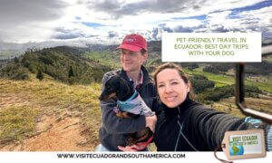 Pet-Friendly Travel in Ecuador Best Day Trips with Your Dog