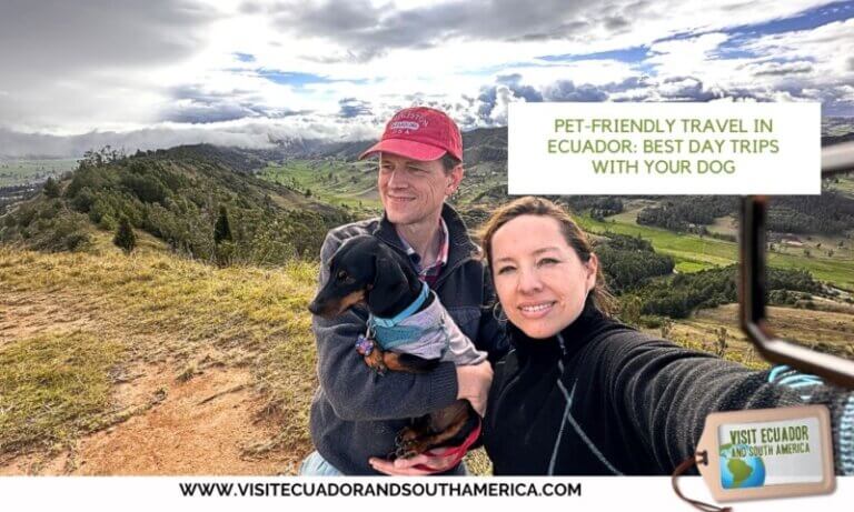 Pet-Friendly Travel in Ecuador Best Day Trips with Your Dog