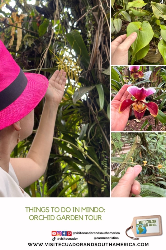 Things to do in Mindo Orchid Garden Tour
