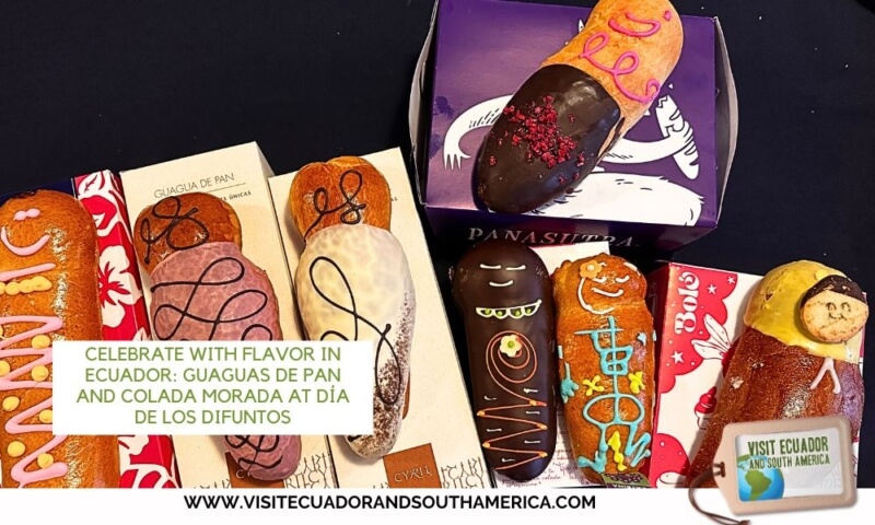 Guaguas de Pan and Colada Morada at Día de los Difuntos